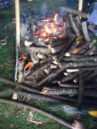 feuchtes Holz gleich nach dem Sägen am Feuer
