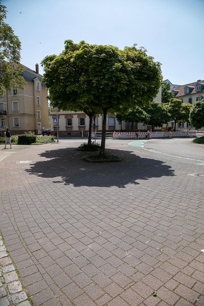 Datei:Fotoarminkrueger5.jpg