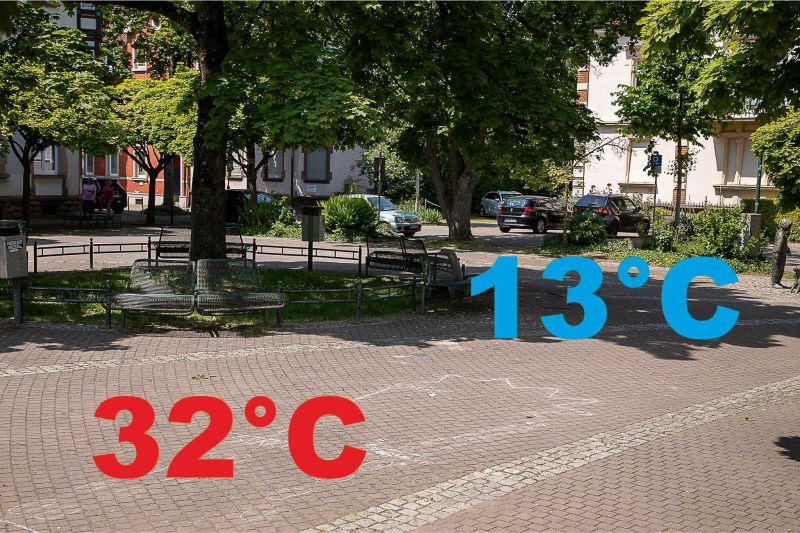 Datei:Fotoarminkrueger2.jpg
